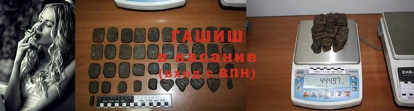 гидра Володарск