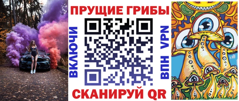 Галлюциногенные грибы мицелий Западная Двина