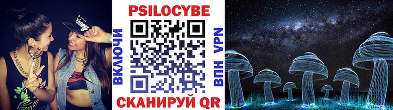 где найти   Западная Двина  это как зайти  Галлюциногенные грибы Psilocybe 
